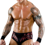 Randy Orton