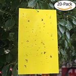 Sticky Traps