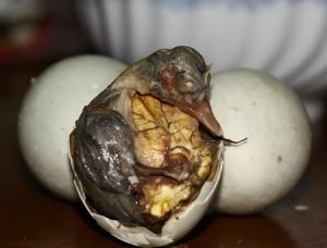 BalutPhilippines