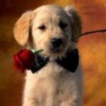 TopUniqueWaystosayPubliclyYourLove
