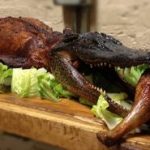 AlligatorUSA