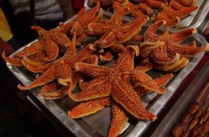 StarfishChinaMicronesia