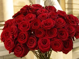 .BirthdayBlooms