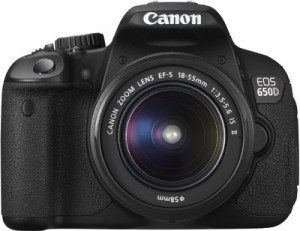 Canon EOS D SLR