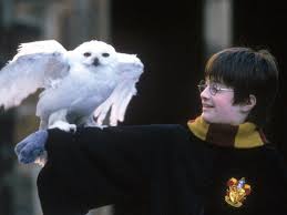 Top  Harry Potter Characters who Died