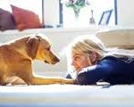 dog lover