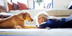 dog lover
