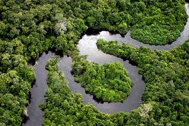TopLargestNaturalForestsintheWorld
