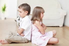 TopReasonsWhySiblingsFight