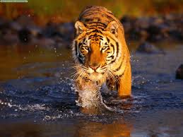 TopMostBeautifulStatesofIndia