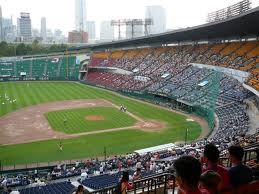 TopSportsAmericaLovestoPlay