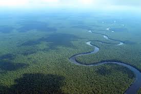 TopLargestNaturalForestsintheWorld