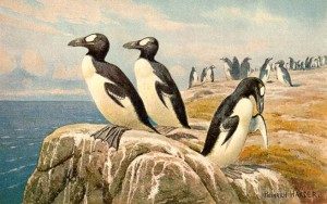 TOPExtinctBirdsList
