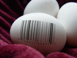 Egg donation