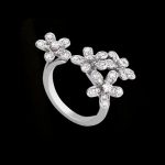 Finger Rings or Rings