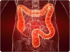 TopMostCommonCancerTypes