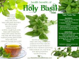 TopAyurvedicSkincareTipstoFollow