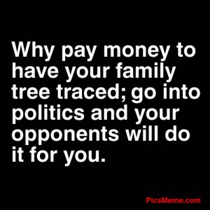 ThingstoDoifyouBecomeaPolitician