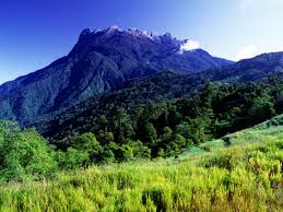 TopLargestNaturalForestsintheWorld