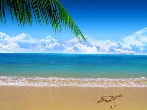 Hit the beach