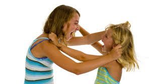 TopReasonsWhySiblingsFight