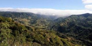 TopLargestNaturalForestsintheWorld