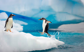 TopAmazingFactsaboutAntarctica