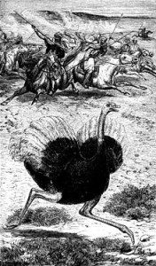 TOPExtinctBirdsList