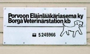 FINNISH