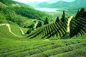 TopPlacesyoumustVisitwhenyoucometoIndia
