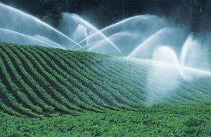 Top  Reasons why We must have Save Water