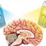 Top  Risky Effects of Mobiles on Health
