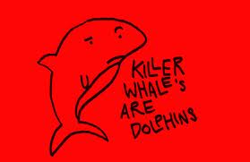 FactsaboutDolphins