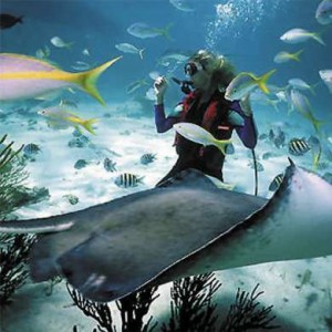 AdventureSportsYouMustTry