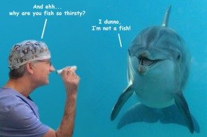 FactsaboutDolphins