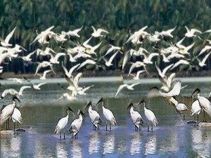 TopIndiasBestWildlifeSanctuaries