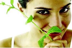 TopAyurvedicSkincareTipstoFollow