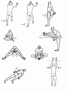 TopExercisestoImproveyourDigestion