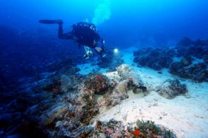 Graveyard Under The Sea