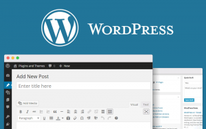 How to Auto Schedule Your WordPress Blog Posts