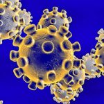 About Coronavirus what is Coronavirus