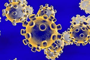 About Coronavirus what is Coronavirus