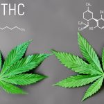Are You in Stress  Then Use Vegan CBD CANNABIDIOL Products