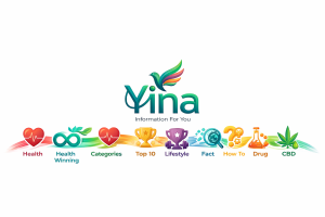 Yina  Information For You Official Logo  Multiniche Information Hub